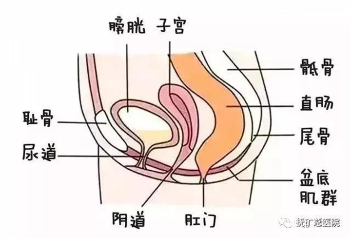 盆底肌松弛漏尿别担心抚矿总医院妇科门诊盆底康复治疗为您解忧